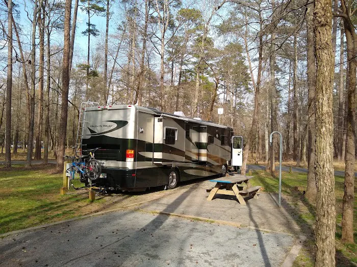 Morrow Mountain State Park Campground Picture 6