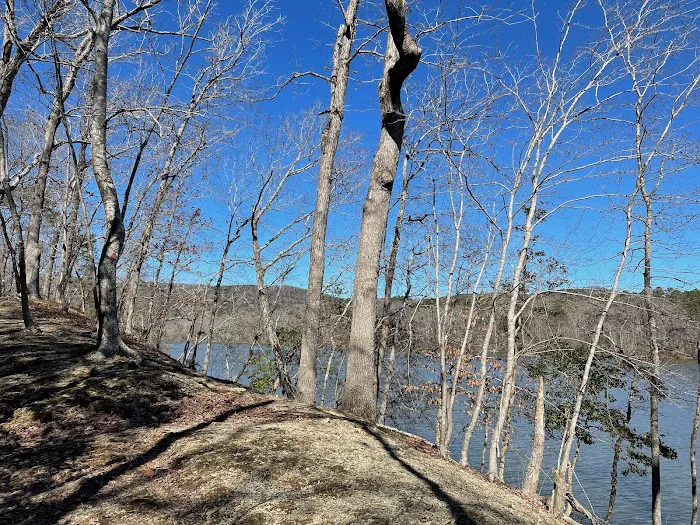 Morrow Mountain State Park Campground Picture 10