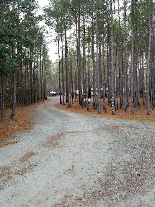 Farm Pond Campground Picture 1