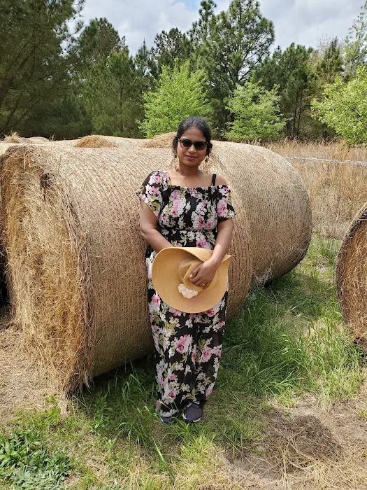 GoCool Farms Picture 1