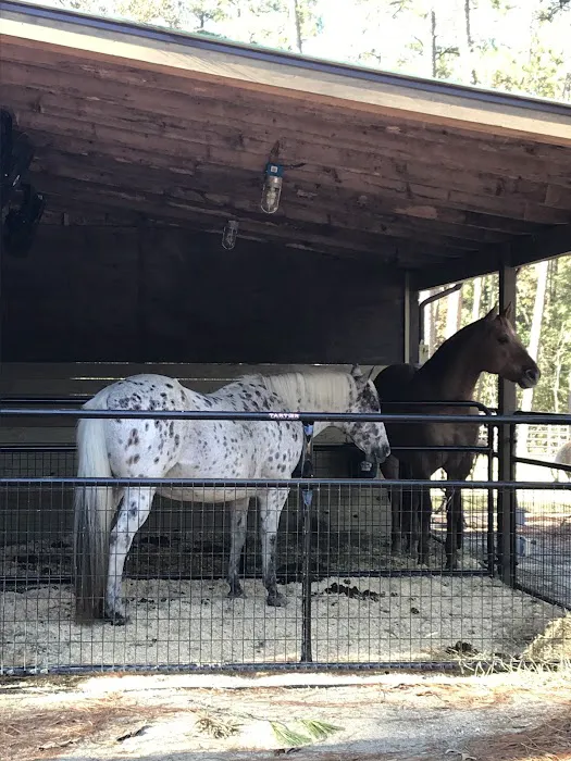 Daily Walk Stables CAMPGROUND Picture 4