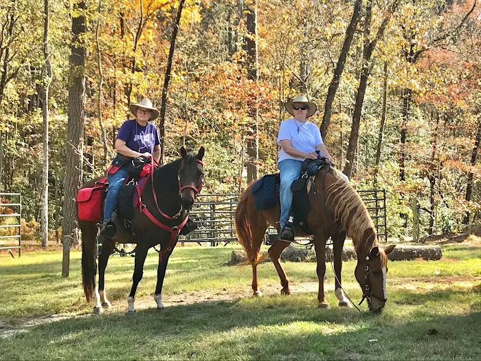 Daily Walk Stables CAMPGROUND Picture 1