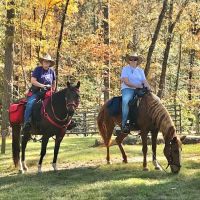 Daily Walk Stables CAMPGROUND ico