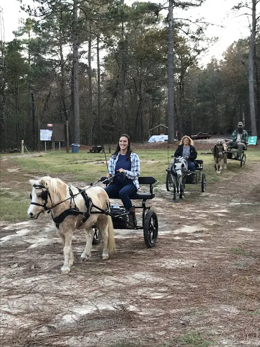 Daily Walk Stables CAMPGROUND Picture 7