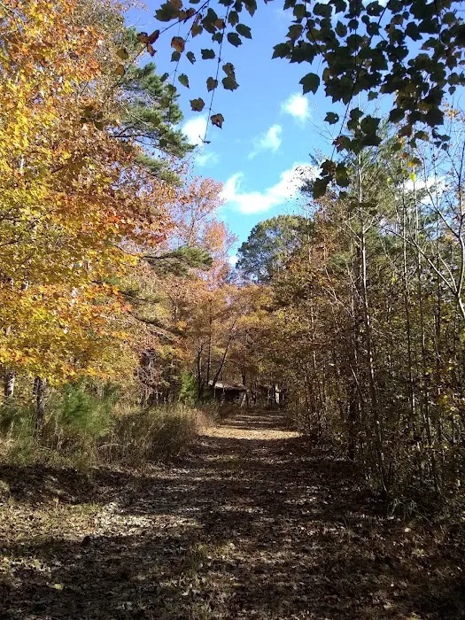 Cotton Patch RV Campground Picture 5