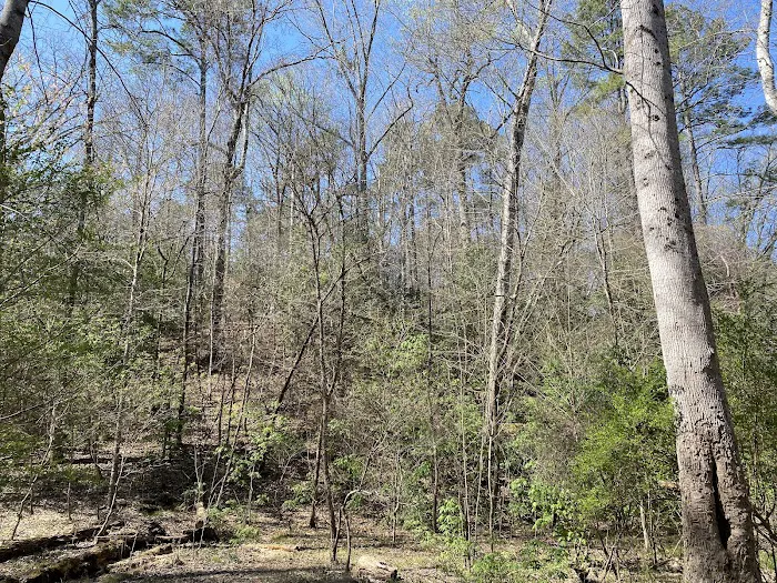 Raven Rock Canoe-in Campsites Picture 1