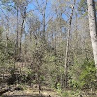 Raven Rock Canoe-in Campsites ico
