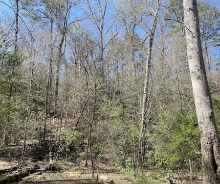 Raven Rock Canoe-in Campsites