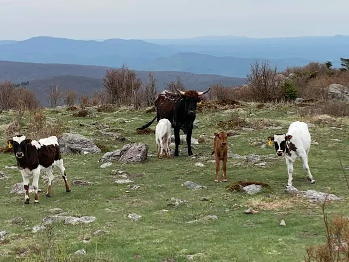 High Country Campground Picture 1