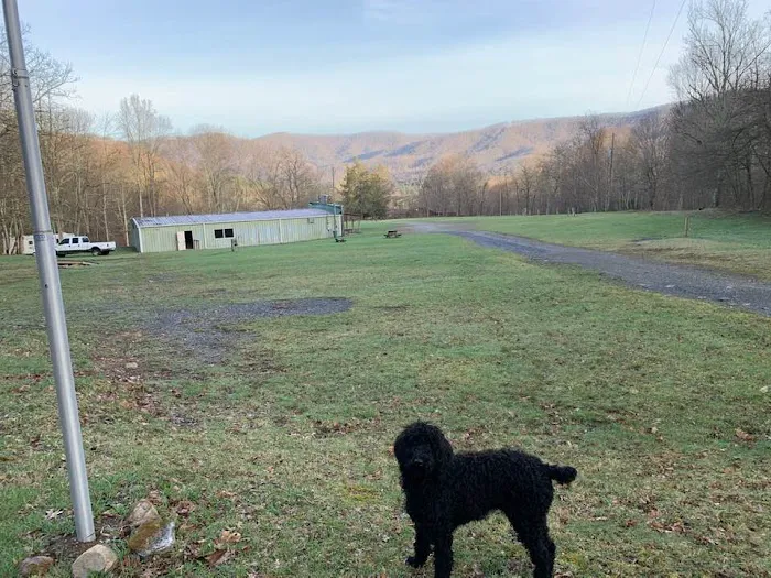 High Country Campground Picture 2