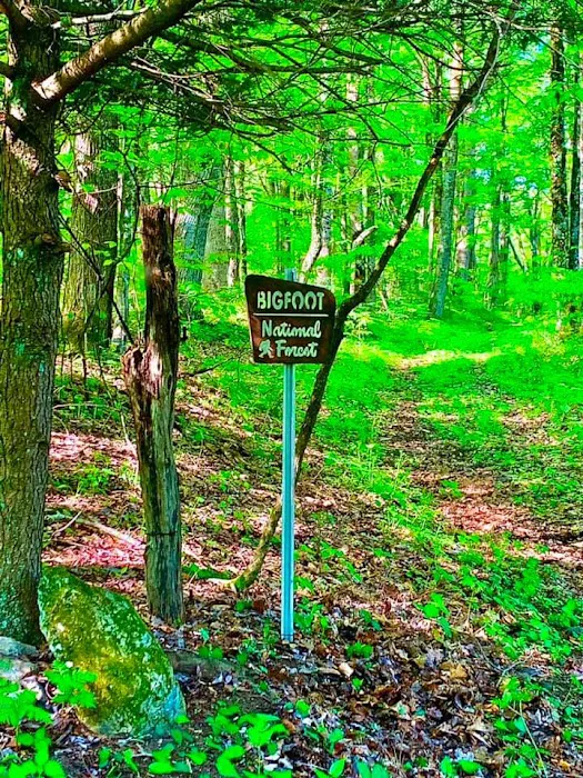 High Country Campground Picture 4