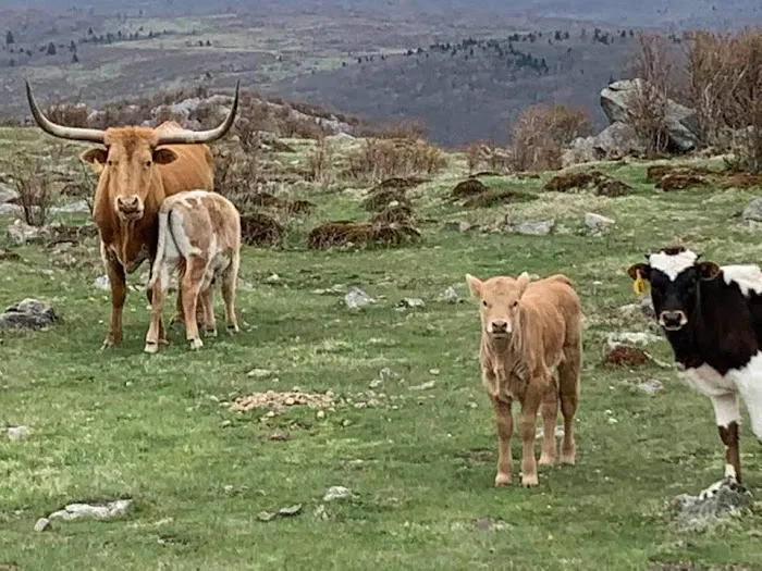 High Country Campground Picture 6