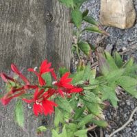 Beartree Recreation Area ico