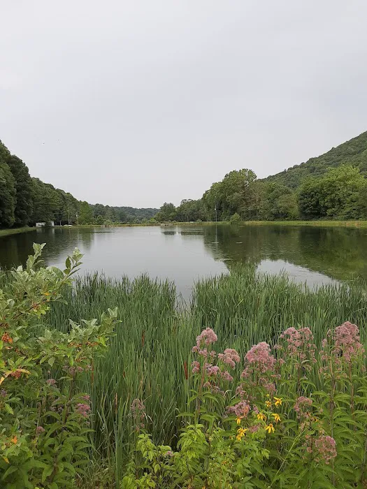 Beartree Recreation Area Picture 6