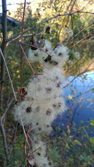 Beartree Recreation Area Picture 2