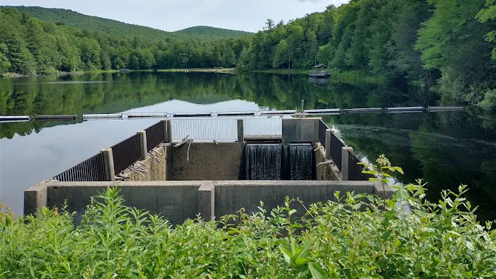 Beartree Recreation Area Picture 4