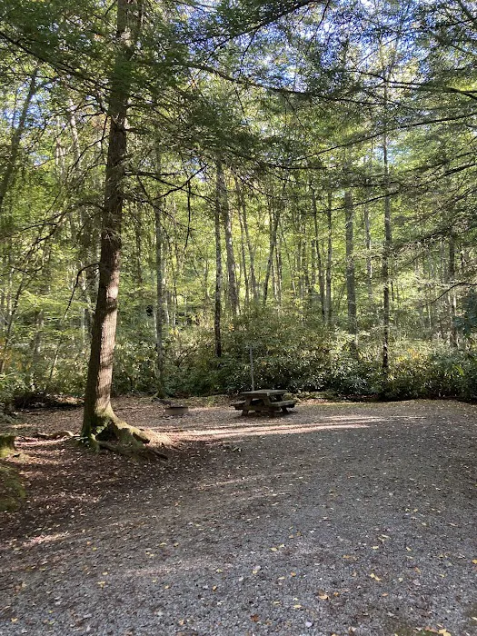 Beartree Recreation Area Picture 10