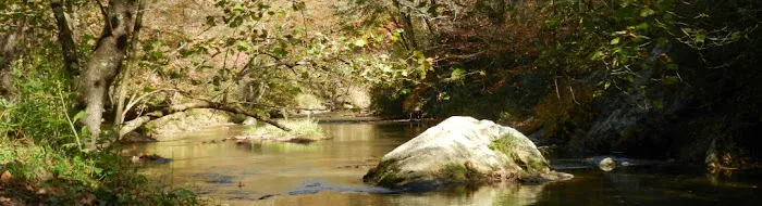 Stoney Fork Campground Picture 1