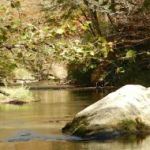 Stoney Fork Campground