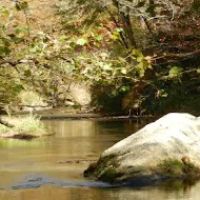 Stoney Fork Campground ico