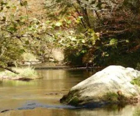 Stoney Fork Campground