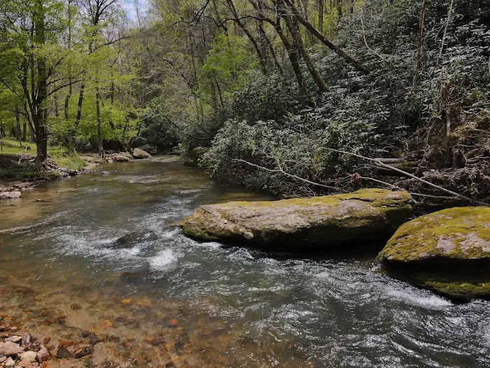 Stoney Fork Campground Picture 10
