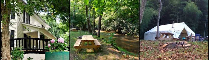 Stoney Fork Campground Picture 2