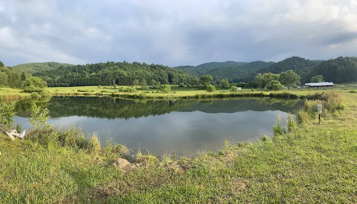 Blue Ridge Ranch Picture 3