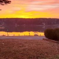 Wildlife Woods Campground ico