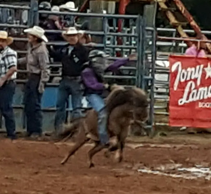 Tough Enough Rodeo and Campground Picture 2