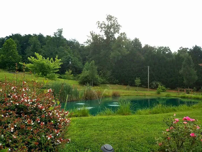 Indian Springs Campground Picture 3