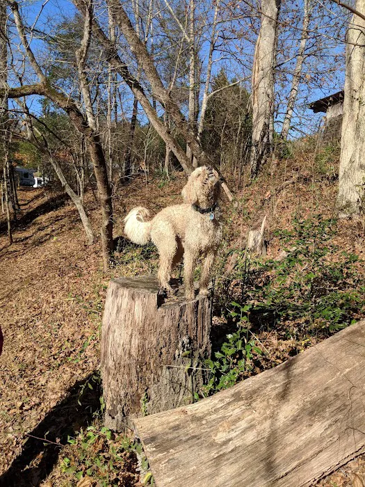 Indian Springs Campground Picture 6