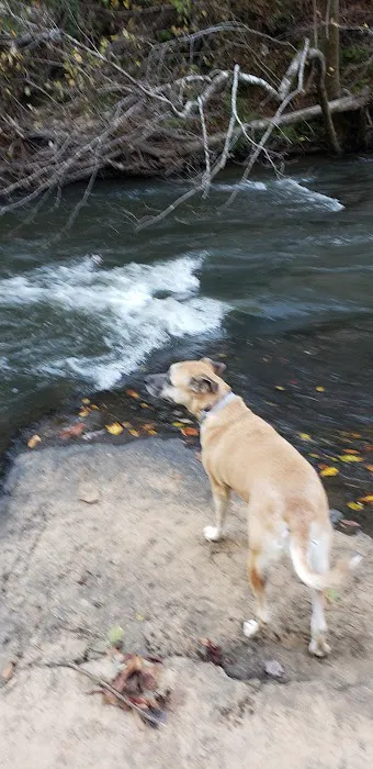 Indian Springs Campground Picture 7