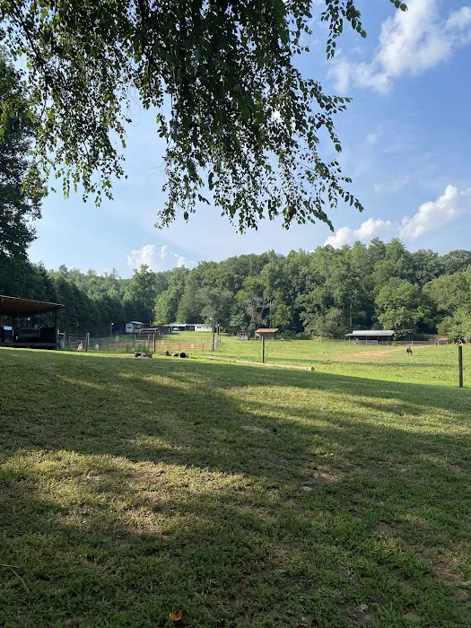 Indian Springs Campground Picture 10