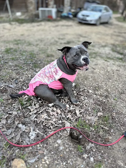 Indian Springs Campground Picture 9