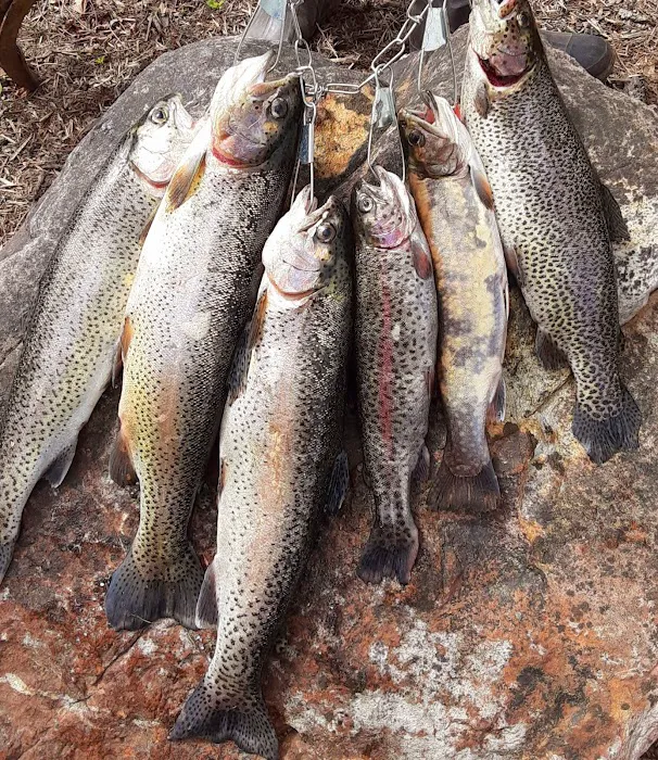 Rainbow Campground Picture 9