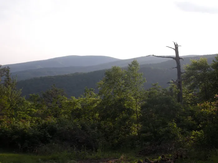 Raven Ridge Lodge Picture 1