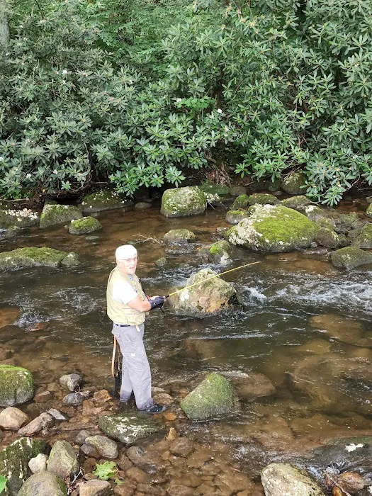 Brumley Cove Baptist Camp Picture 1