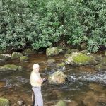 Brumley Cove Baptist Camp