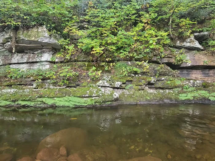 Brumley Cove Baptist Camp Picture 2