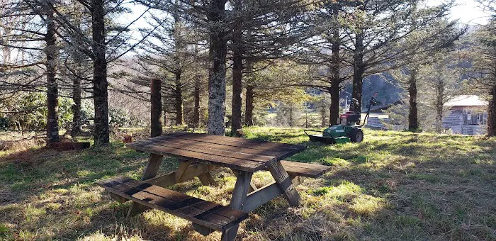 Creeper Trail Campground Inc Picture 9