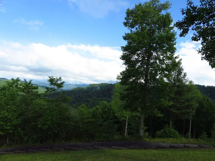 Million Dollar View Cabin Picture 3