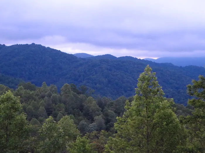 Million Dollar View Cabin Picture 2