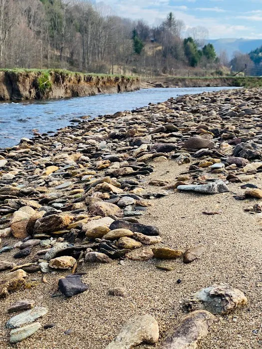 Into the Wild Retreat Picture 3