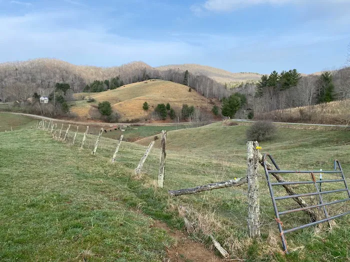 Into the Wild Retreat Picture 4