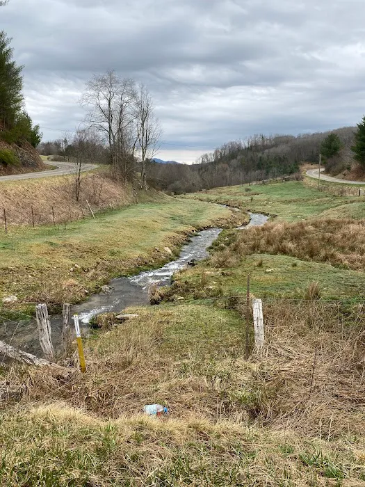 Into the Wild Retreat Picture 5