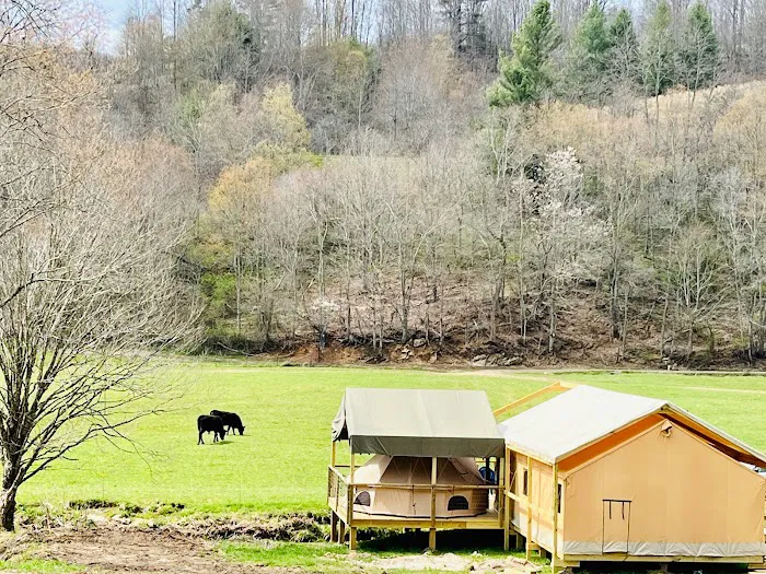 Into the Wild Retreat Picture 9