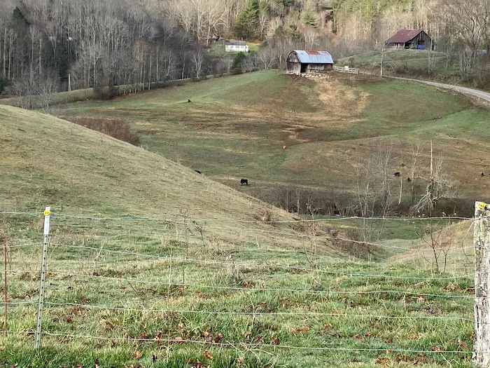 Into the Wild Retreat Picture 6