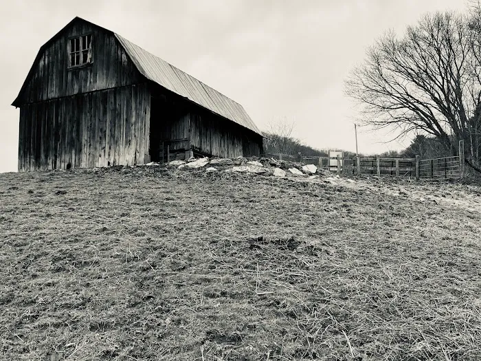 Into the Wild Retreat Picture 8