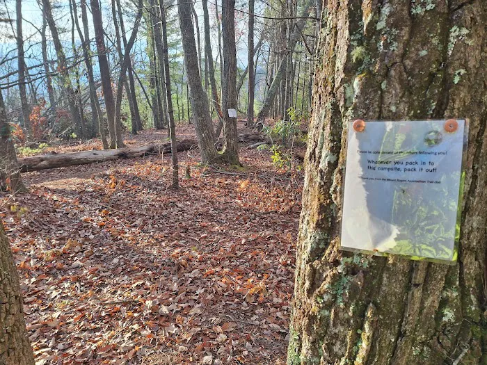 Appalachian trail campsite Picture 1